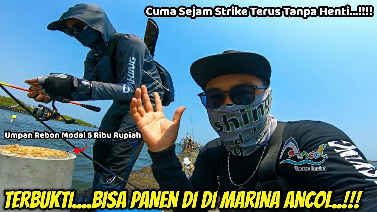 BEBAS NYAMAN UNTUK MANCING DERMAGA 22 MARINA ANCOL TERBARU 2024 || PESTA STRIKE..!!!