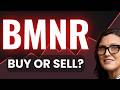 BMNR Stock (Bitmine Immersion Technologies stock) BMNR STOCK analysis STOCK PREDICTION news today