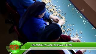 FİSKOBİRLİK 2018 için piyasaya girecek