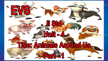II Std EVS - Animals Around Us (Part - 1)