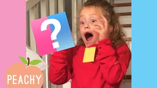 [1 Hour] BEST Baby Gender Reveal Reactions | Funny Moments