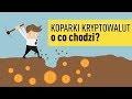 Koparki kryptowalut i karty graficzne – o co chodzi?