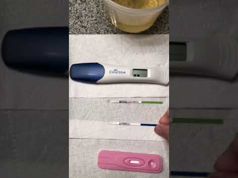 11 dpo pregnancy test - YouTube.