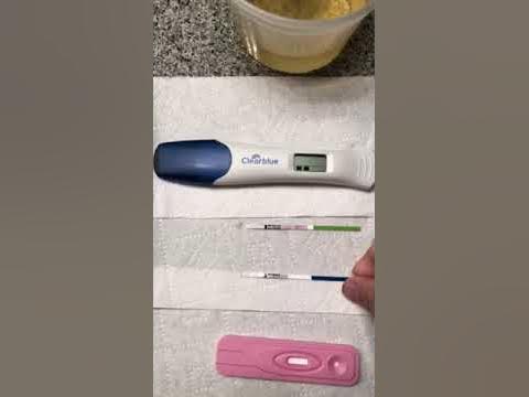 Тест на беременность в туалете. 9 ДПО клеар Блю электронный. Электронный тест клеар Блю 11 ДПО. Тест клеар Блю 9 ДПП. 10-11 ДПО клиаблу струйный.
