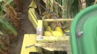 Chopping Corn Silage 2014