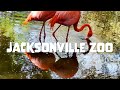 Jacksonville Zoo