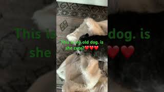 She is 14 years old ❤️❤️❤️