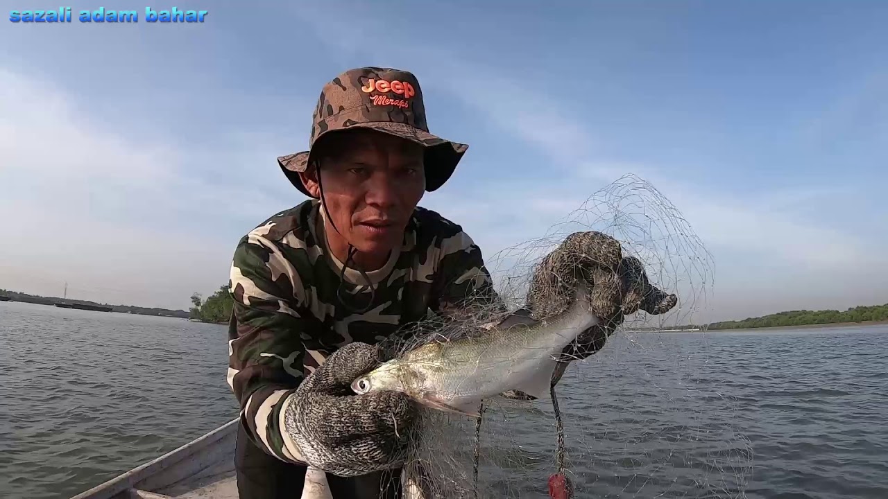 menjaring ikan gelama dan masak terus makan ep. 108