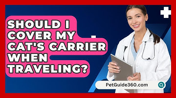 Should I Cover My Cat