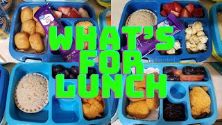 A Week of School Lunches  Week 24