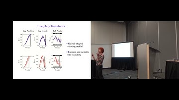 Dagmar Sternad -- Control of Dynamically Complex Objects: Stability and Predictability