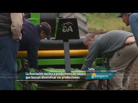 Productores que apuntan a la diversificación intangible