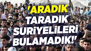 Aradık Taradık Suriyeliler Yoklar Çiğdem Akdemir Krt Ana Haber