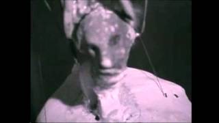 Boom Bip & Dose One - The Birdcatcher's Return (Video Edit; Stereo)