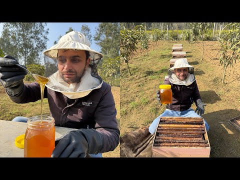 फैक्ट्री शहद का बड़ा सच 😡 | मधुमक्खी की असली मेहनत Honey Bee Keeping 🐝 Agri Business 📞9560515567