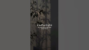 تـِلاوة مِـن سُـورة النساء | القارئ : صالح الأنصاري