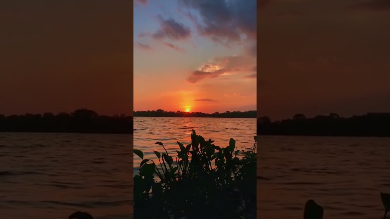 morning sunset || nature sound | asmr   