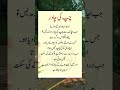 The Power of Silence | Urdu Islamic Quotes | #Motivation #Silence #IslamicQuotes #hereafter