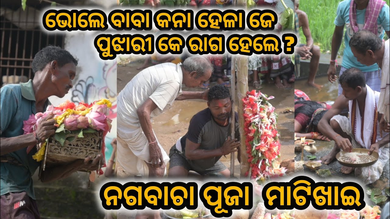 Exploring Nagbacha Puja | A Rare Festival of Faith in Western Odisha #puja #tredistional #fastival