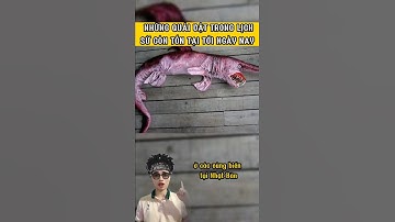 Quái vật thời tiền sử còn tồn tại | Tài DT