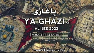 Ya Ghazi A.s Ali Jee Whatsapp Status 2022