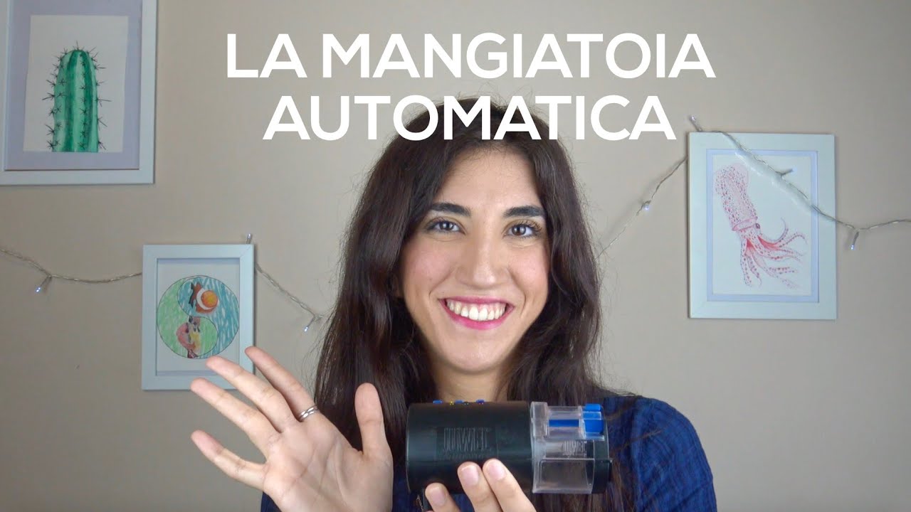 Lascio i miei acquari per 20 giorni - La mangiatoia automatica della ...