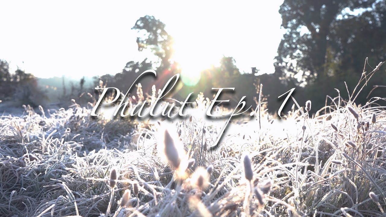 Мы впервые разбили лагерь вместе | От Уттари до Хангепани | Сикким | Серия «Пхалут» | Эп.1