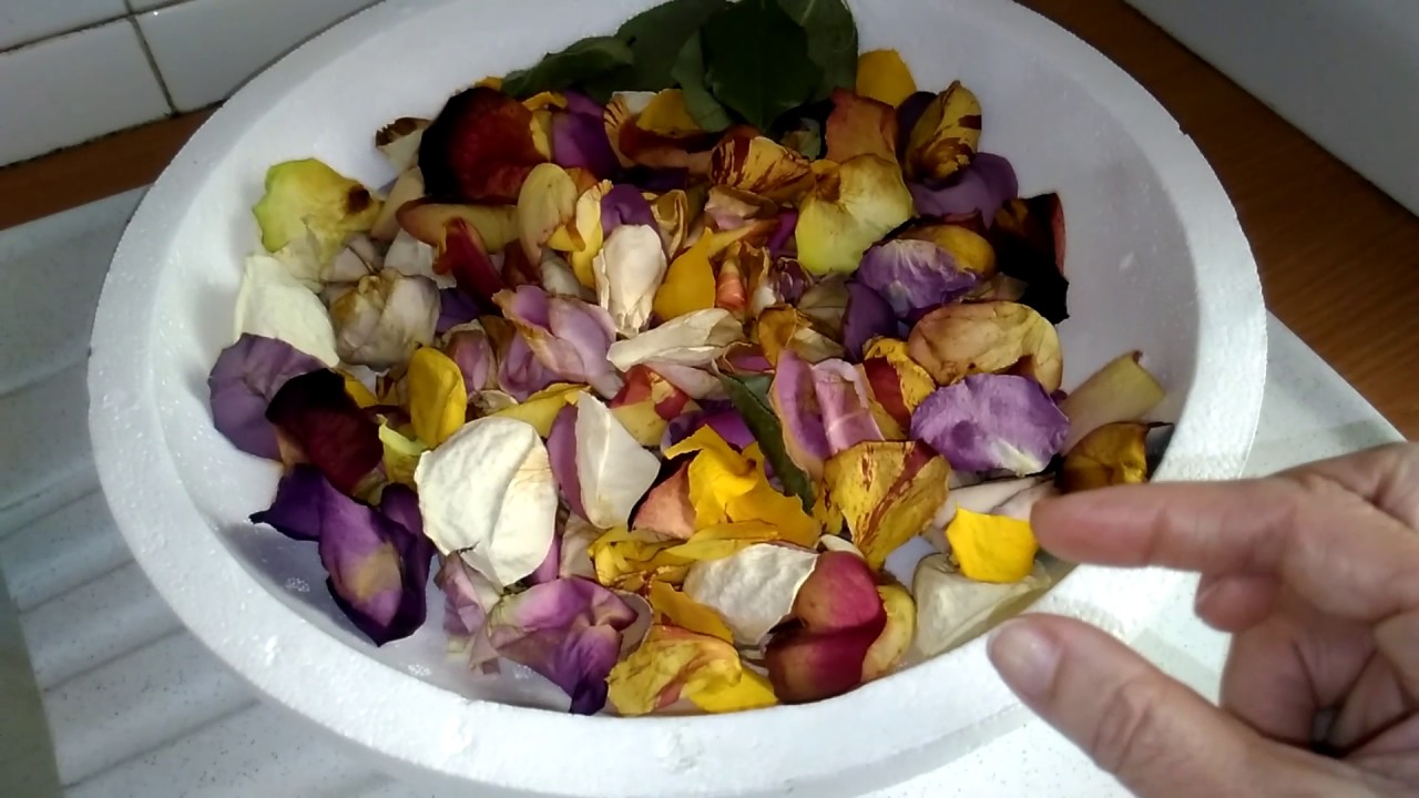 Masque naturel fait avec des pétale de rose (génial,je vous laisse regarder la vidéo) YouTube