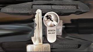 [47] Zeiss Ikon SK6 Vectorprofil Rippe Extra 6 Pins + 5 Sidepins Public First Picked & Gutted