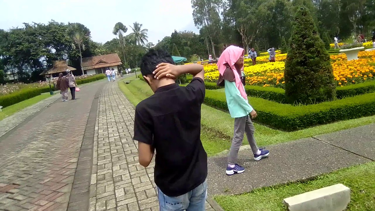  Taman  bunga  nusantara  YouTube