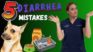 Dog Has Diarrhea? Stop Doing These 5 Things