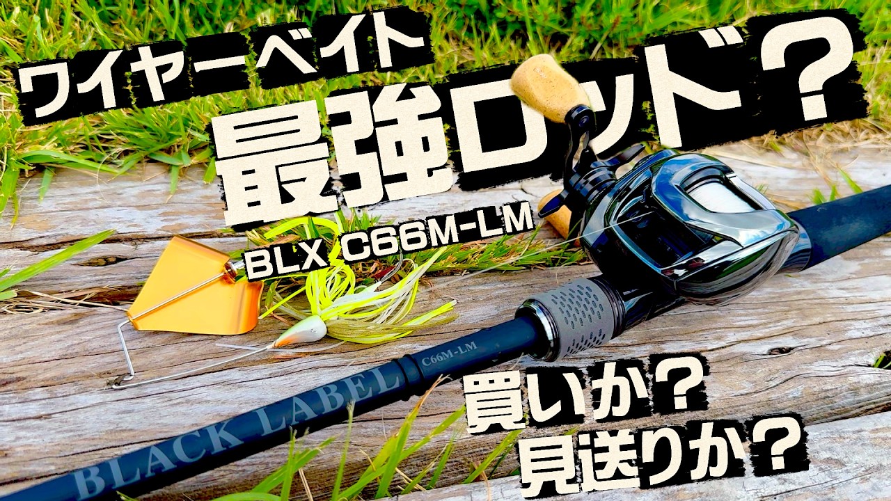 C66M-LM のみ！ YouTube