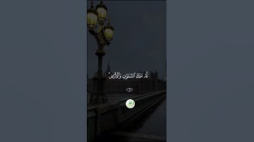 سورة الحديد  " الآية 4 -- 6 "  🕋