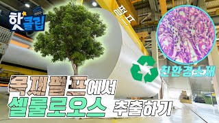 종이의 재발견, 나노셀룰로오스 추출 과정 / YTN 사이언스