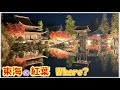紅葉ライトアップ | 東海日本庭園の秋風情