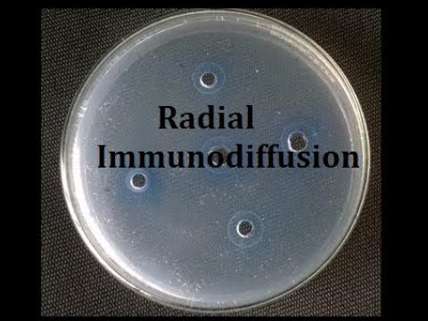 Radial immunodiffusion (Teaching kit)