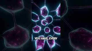 Michael Pollan: Why AI Can't Be Conscious - Brains Aren't Software