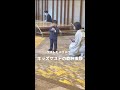 3歳のぼくが乾杯挨拶やってみた🥂♡ movie by __mana32__ さん #shorts