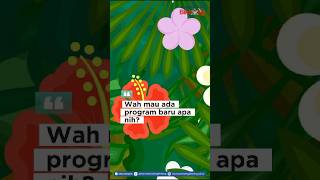 Wah Mau Ada Program Baru Apa Nih di Homeschooling Bintang???