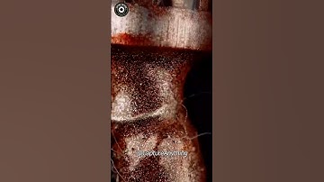 Outline marker vs cotton swab up close | Capture Anything