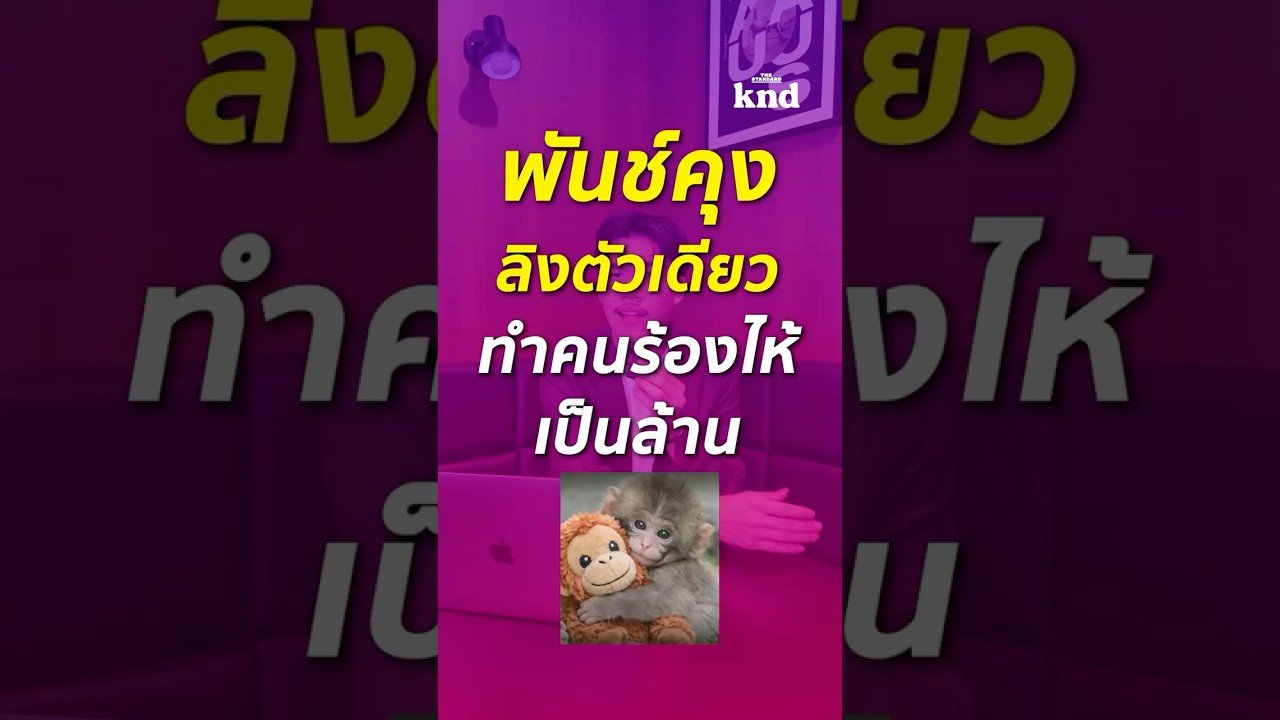 น้อง ‘พันช์คุง’ 🙉🙈🙊 ลิงสุดไวรัล ไม่ได้มีแค่ความน่ารักน่าเอ็นดู แต่มี …#พันช์ #พันช์คุง #punchku