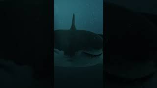 6 Headed Shark Attack