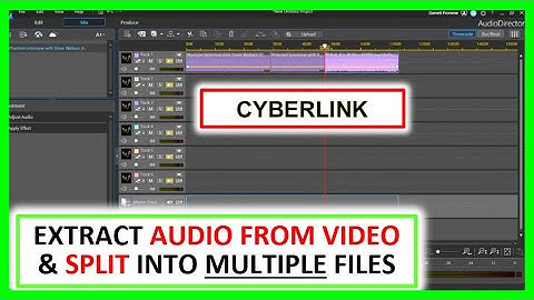 Extract Audio From Video and Split Into Multipole Files Cyberlink Audio Director & Power director