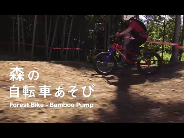 カメカメバンプー YouTube