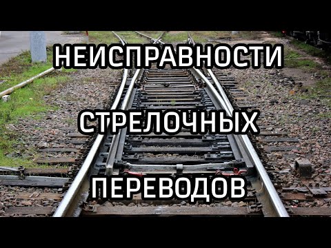 Видео: Филогеография высших двукрылых на ледниковых и постледниковых лугах в западной части Северной Америки