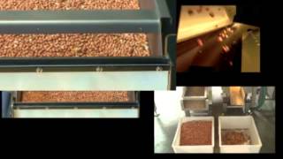 VISYS Cayman Bioprint Sorter screenshot 3