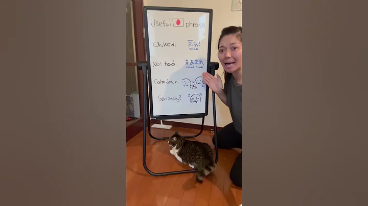 Useful Japanese phrase 🇯🇵 #japaneselanguage #learnjapanese