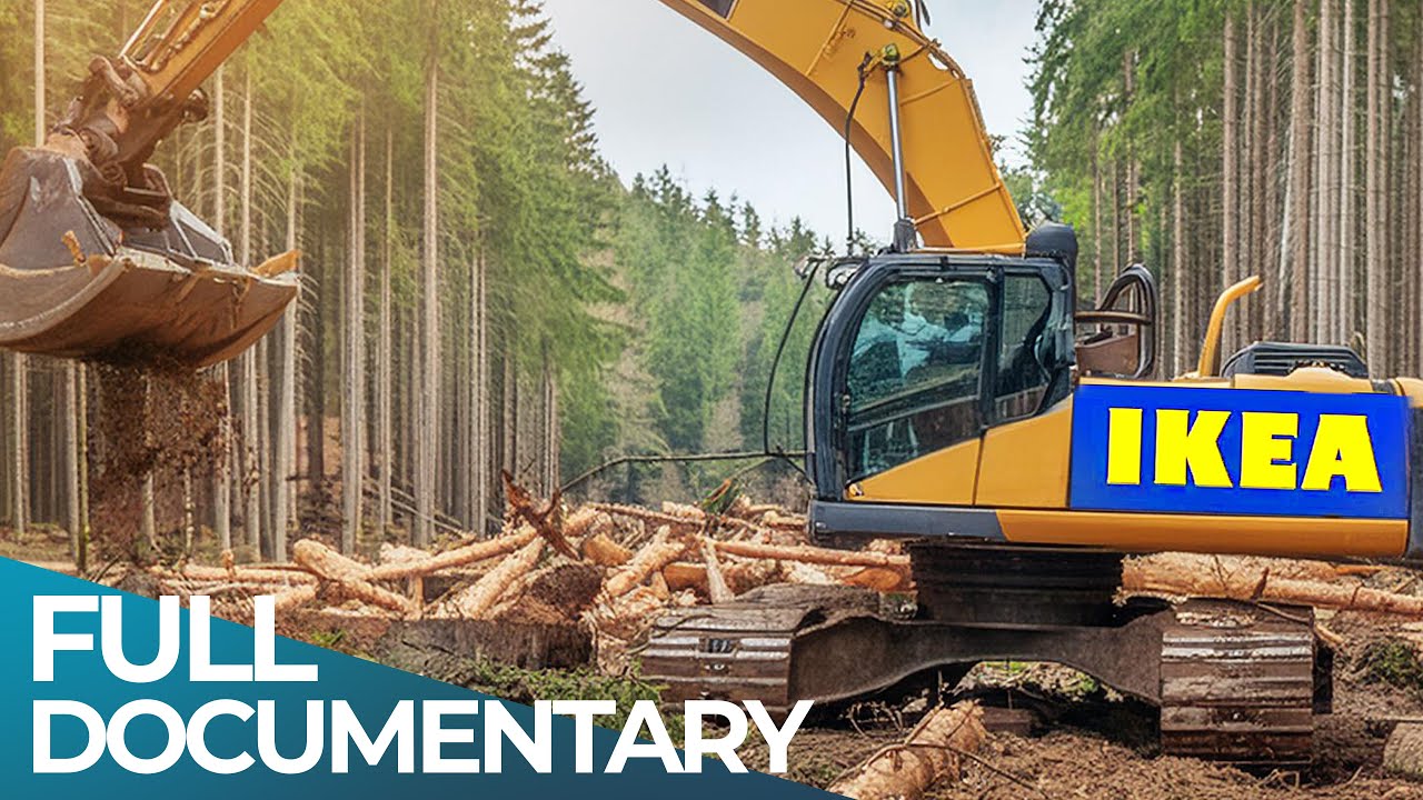 The Shady Side of the IKEA Wood Business | The Real Cost of Cheap