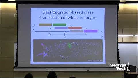 Evolution and Development of a Minimal Nervous System in our Closest Invertebrate Relatives