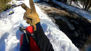 Crazy Backyard Luge Run